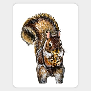 Squirrel Sticker